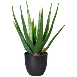 P & B Aloe, Grün, Kunststoff, 47 cm, inkl. Topf, Dekoration, Blumen & Zubehör, Kunstpflanzen