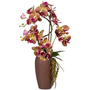 P & B Kunstpflanze, Braun, Grün, Lila, Kunststoff, 70 cm, inkl. Topf, Real-Touch-Oberfläche, Dekoration, Blumen & Zubehör, Kunstpflanzen