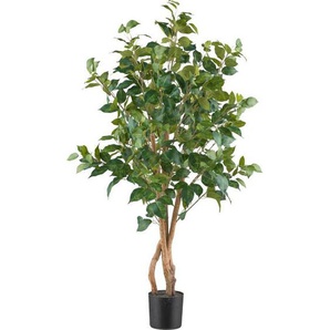 P & B Kunstpflanze, Grün, Kunststoff, 110 cm, mit Naturstamm, Dekoration, Blumen & Zubehör, Kunstpflanzen