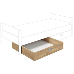 PAIDI 1/2 Bettkasten für Bett & Etagenbett 1188804