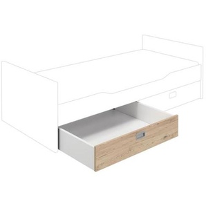 PAIDI 1/2 Bettkasten für Bett & Etagenbett 1318804