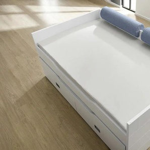 PAIDI Comfort-Rolle - blau - Materialmix | Möbel Kraft