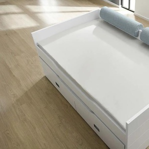 PAIDI Comfort-Rolle - blau - Materialmix | Möbel Kraft
