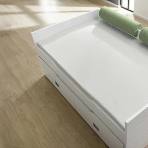 PAIDI Comfort-Rolle - grün - Materialmix | Möbel Kraft