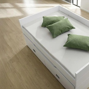 PAIDI Partykissen - grün - Materialmix - 60 cm - 40 cm - cm 20,0 | Möbel Kraft