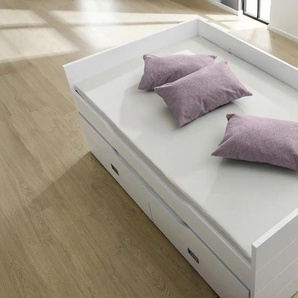PAIDI Partykissen - rosa/pink - Materialmix - 60 cm - 40 cm - cm 20,0 | Möbel Kraft