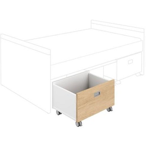 PAIDI Rollbox für Kojenbett Kira 2178004