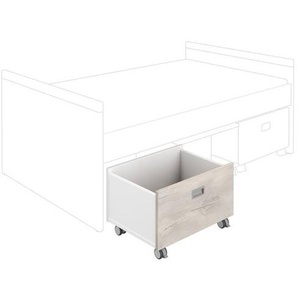 PAIDI Rollbox für Kojenbett Kira 2178008