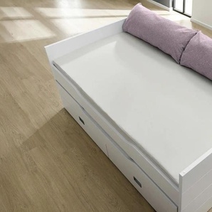 PAIDI Rückenkissen - rosa/pink - Materialmix - 100 cm - 40 cm - cm 25,0 | Möbel Kraft