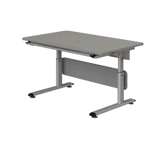 PAIDI Schülerschreibtisch  Diego ¦ grau ¦ Maße (cm): B: 120 H: 53 T: 70.0