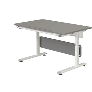 PAIDI Schülerschreibtisch  Diego ¦ grau ¦ Maße (cm): B: 120 H: 53 T: 70.0
