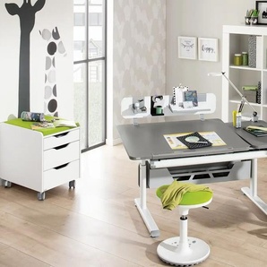 PAIDI Schülerschreibtisch  Diego ¦ grau ¦ Maße (cm): B: 130 H: 53 T: 70.0