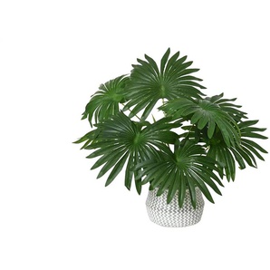 Palme getopft   ¦ grün ¦ Kunststoff ¦ Maße (cm): H: 50  Ø: 20