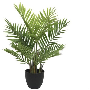 Palme im Topf, grün/schwarz, 73 cm