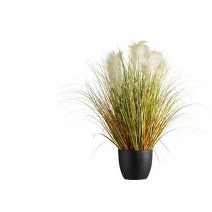 Pampasgras getopft - grün - Kunststoff,Polypropylen - 90 cm - 50.0 | Möbel Kraft