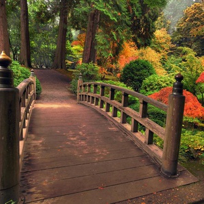 PAPERMOON Fototapete Autumn Bridge Tapeten Gr. B/L: 3,5 m x 2,6 m, Bahnen: 7 St., bunt (mehrfarbig) Fototapeten Tapeten