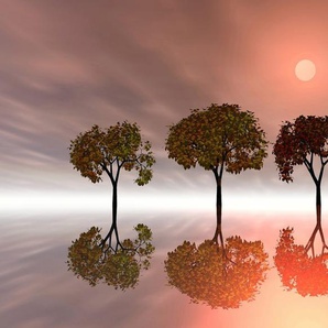 Papermoon Fototapete Bäume im Wasser