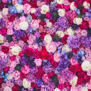 Papermoon Fototapete Blumen