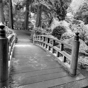 Papermoon Fototapete Brücke Schwarz & Weiß