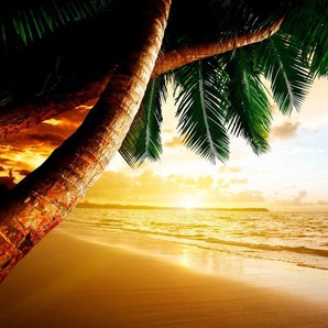 Papermoon Fototapete Caribbean Beach Sunrise, glatt