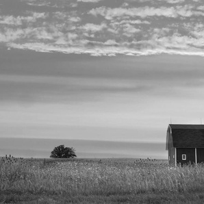 Papermoon Fototapete Farm Schwarz & Weiß
