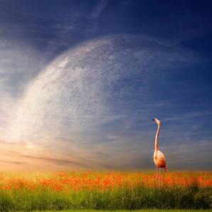 Papermoon Fototapete Flamingo in Blumenwiese