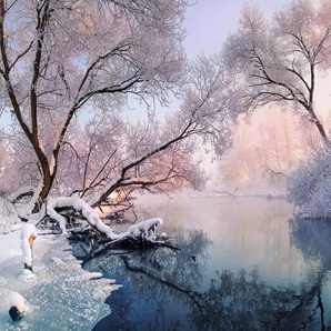 Papermoon Fototapete Fluss in Schneelandschaft