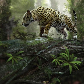 Papermoon Fototapete Jaguar on the Prowl, glatt