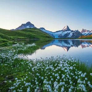 Papermoon Fototapete LANDSCHAFT-GEBIRGE BERGE SEE ALPEN BLUMEN NATUR TAPETE