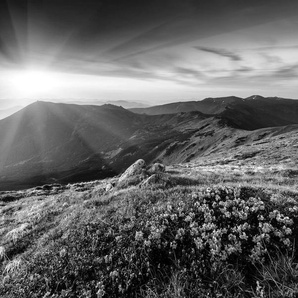 Papermoon Fototapete Landschaft Schwarz & Weiß