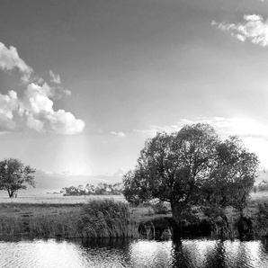 Papermoon Fototapete Landschaft Schwarz & Weiß