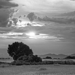 Papermoon Fototapete Landschaft Schwarz & Weiß