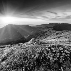 PAPERMOON Fototapete Landschaft Schwarz & Weiß Tapeten Gr. B/L: 3,50 m x 2,60 m, Bahnen: 7 St., schwarz (schwarz, weiß) Fototapeten