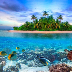 Papermoon Fototapete Marine Life Maldives, matt, (5 St)