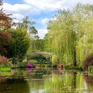 Papermoon Fototapete Monets Garten