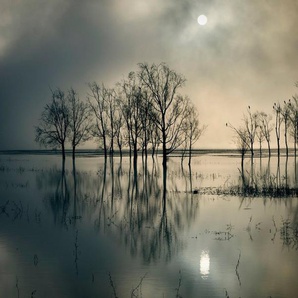 Papermoon Fototapete Photo-Art JOANNE_FLJ, SEESTSSEE