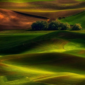 Papermoon Fototapete Photo-Art LYDIA JACOBS, FRÜHLING IM PALOUSE