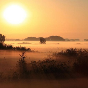 Papermoon Fototapete SONNENUNTERGANG NEBEL LANDSCHAFT