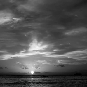 PAPERMOON Fototapete Sonnenuntergang Schwarz & Weiß Tapeten Gr. B/L: 4,50 m x 2,80 m, Bahnen: 9 St., schwarz (schwarz, weiß) Fototapeten