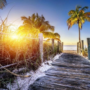 Papermoon Fototapete Strand mit Palmen