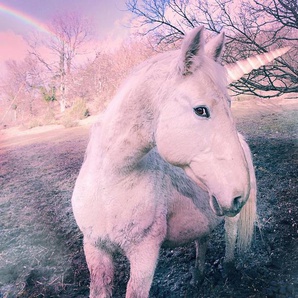 Papermoon Fototapete Unicorn, glatt