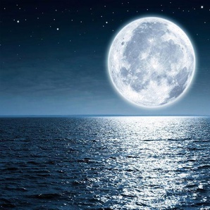 Papermoon Fototapete Vollmond