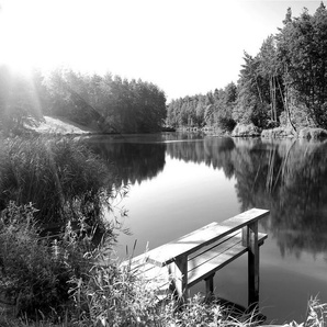 Papermoon Fototapete Wald mir Fluss Schwarz & Weiß