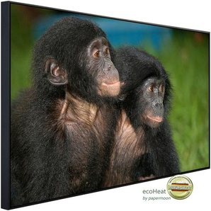 PAPERMOON Infrarotheizung Baby Bonobos Heizkörper sehr angenehme Strahlungswärme Gr. B/H/T: 100 cm x 60 cm x 3 cm, 600 W, bunt (kunstmotiv im aluminiumrahmen) Heizkörper