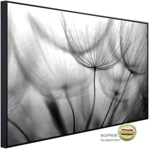 PAPERMOON Infrarotheizung Blumen Schwarz & Weiß Heizkörper sehr angenehme Strahlungswärme Gr. B/H/T: 120 cm x 90 cm x 3 cm, 1200 W, bunt (kunstmotiv im aluminiumrahmen) Heizkörper