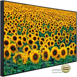 PAPERMOON Infrarotheizung Feld der Sonnenblumen Heizkörper Gr. B/H/T: 120 cm x 90 cm x 3 cm, 1200 W, bunt (kunstmotiv im aluminiumrahmen) Heizkörper