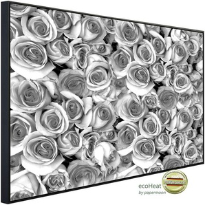 PAPERMOON Infrarotheizung graue Rosen Heizkörper Gr. B/H/T: 120 cm x 60 cm x 3 cm, 750 W, bunt (kunstmotiv im aluminiumrahmen) Heizkörper