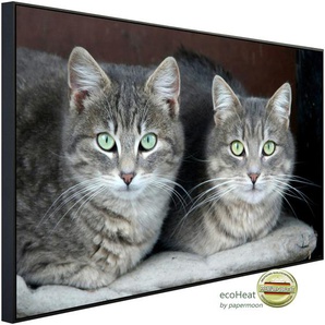PAPERMOON Infrarotheizung Grüne Augen Katzen Heizkörper sehr angenehme Strahlungswärme Gr. B/H/T: 120 cm x 60 cm x 3 cm, 750 W, bunt (kunstmotiv im aluminiumrahmen) Heizkörper
