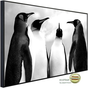 PAPERMOON Infrarotheizung Pinguin Schwarz & Weiß Heizkörper sehr angenehme Strahlungswärme Gr. B/H/T: 120 cm x 60 cm x 3 cm, 750 W, bunt (kunstmotiv im aluminiumrahmen) Heizkörper