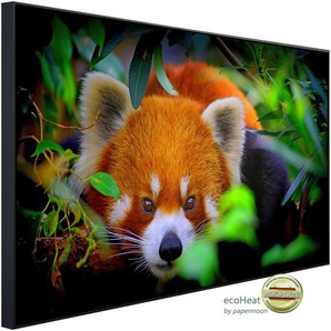 PAPERMOON Infrarotheizung Rotes Panda Porträt Heizkörper Gr. B/H/T: 120 cm x 60 cm x 3 cm, 750 W, bunt (kunstmotiv im aluminiumrahmen) Heizkörper